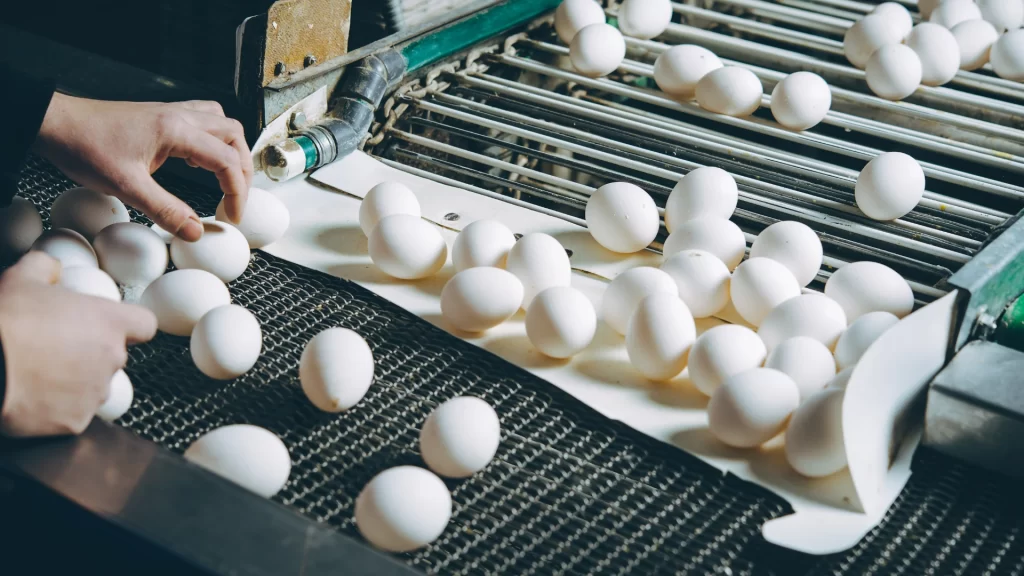 Egg Prices Take a Hard-Boiled Dip: U.S. Inflation Hits Two-Year Low, But Can We Expect Another Fed Rate Hike in May?